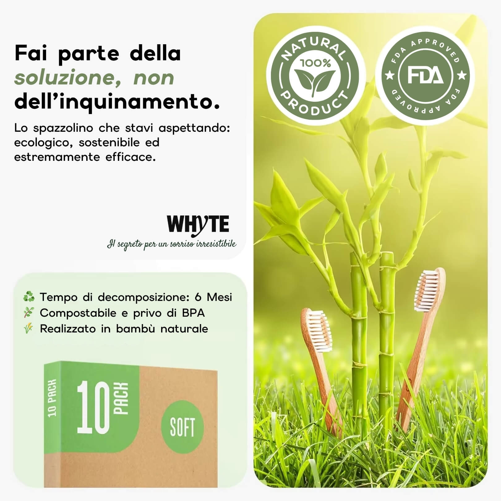 Set 10 Spazzolini in Bamboo